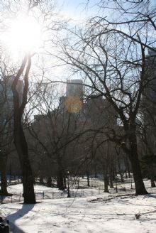 Central Park.JPG Central Park.JPG